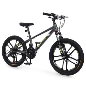 Велосипед дитячий "EMOTION" ET-2001, 20 дюймів, сірий