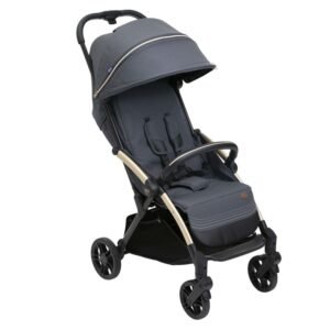 Прогулянкова коляска Chicco Goody Xplus